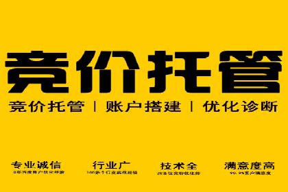 百度推广排名大揭秘：某电商平台的成功之路